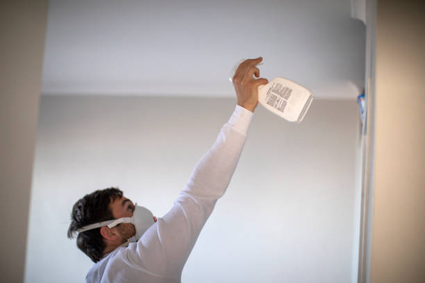 Best Emergency Mold Removal  in Adwolf, VA
