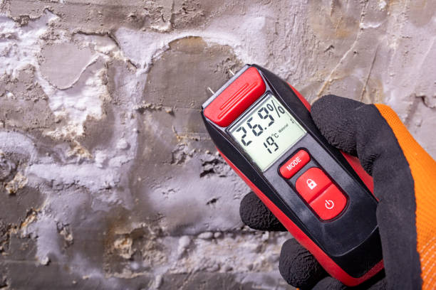 Best Affordable Mold Removal  in Adwolf, VA