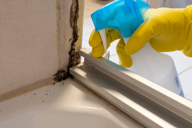 Best Mold Cleaning Services  in Adwolf, VA