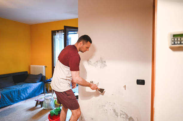 Best Professional Mold Removal  in Adwolf, VA